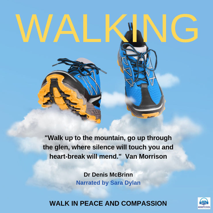 Walking front cover