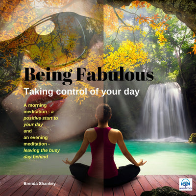 Being Fabulous: Taking Control of Your Day front cover