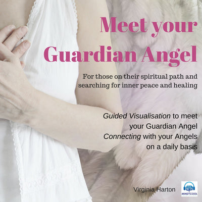 Meet Your Guardian Angel front cover