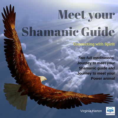 Meet Your Shamanic Guide front cover