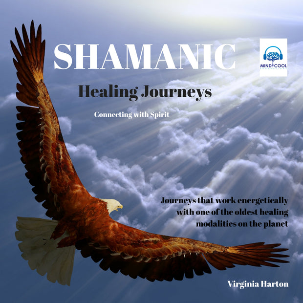 Shamanic Healing Journeys front cover