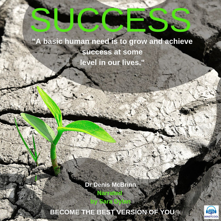 SUCCESS front cover